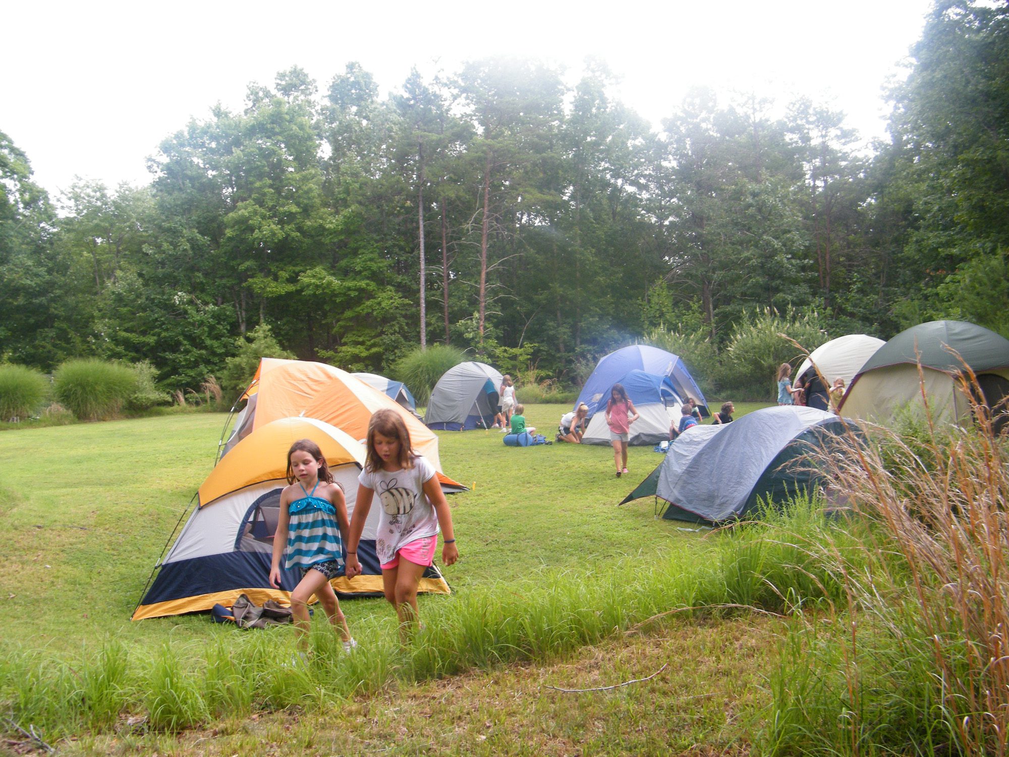 Featured Yoga Camp Week – Digging into the Roots of Yoga